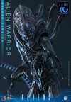 Alien Warrior (Deluxe Version) (Prototype Shown) View 15