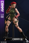 Cammy (Prototype Shown) View 4