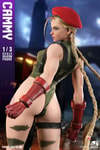 Cammy (Prototype Shown) View 7