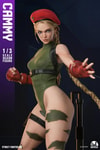 Cammy (Prototype Shown) View 8