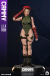 Cammy (Prototype Shown) View 12