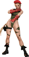 Cammy (Prototype Shown) View 17
