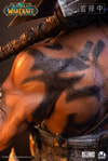 Grommash Hellscream (Prototype Shown) View 10
