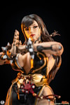 Chun-Li Android (Battle Edition) (Prototype Shown) View 13