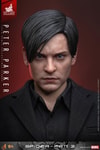 Peter Parker (Prototype Shown) View 6