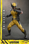 Wolverine (Deluxe Version) (Prototype Shown) View 12