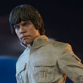  Luke Skywalker Collectible