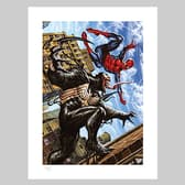  Spider-Man vs Venom Collectible