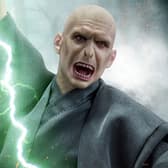  Lord Voldemort Collectible