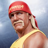  “Hulkamania” Hulk Hogan Collectible