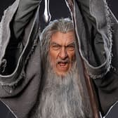  Gandalf the Grey (Ultimate Edition) Collectible