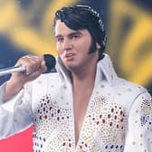  Elvis Presley 1973 Collectible
