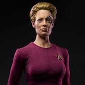  Seven of Nine Collectible