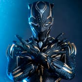 Hot Toys Black Panther Collectible