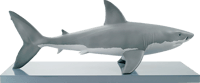 Lladró White Shark Figurine
