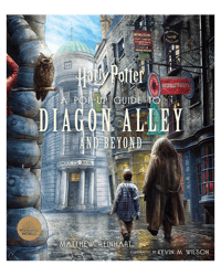 Insight Editions Harry Potter: A Pop-Up Guide to Diagon Alley and Beyond Book