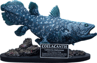 Star Ace Toys Ltd. Coelacanth Statue