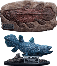 Star Ace Toys Ltd. Coelacanth (Deluxe Version) Statue