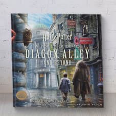 Harry Potter: A Pop-Up Guide to Diagon Alley and Beyond Book