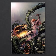 Red Sonja Halloween Special One-Shot #1 Metal Cover Book