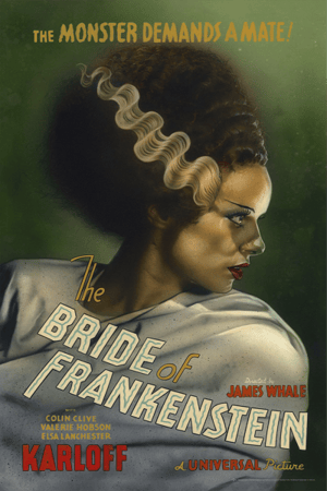 Universal Monsters: The Bride of Frankenstein Universal Monsters Movie Poster Image