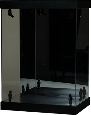 Lighted Display Case  Display Case Image