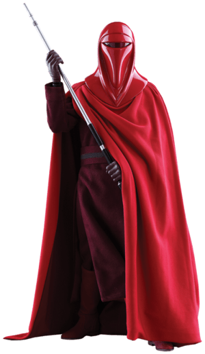 Royal Guard Star Wars Sixth Scale Figure Image
