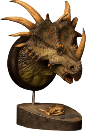 Styracosaurus  Bust Image