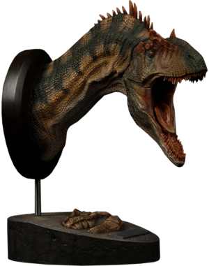 Allosaurus  Bust Image