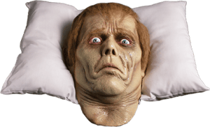 Dawn of the Dead Roger Pillow Pal Dawn of the Dead Prop Replica Image