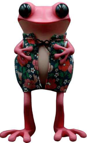 Midnight Blossoms APO Frogs Designer Toy Image