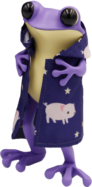 Sorcerer’s Apprentice APO Frogs Designer Toy Image