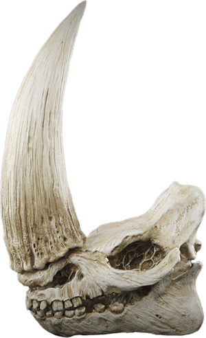 Mudhorn Skull Wall Decor Statue