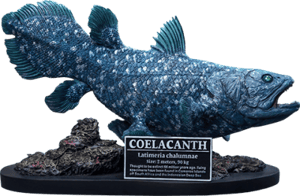 Coelacanth Statue
