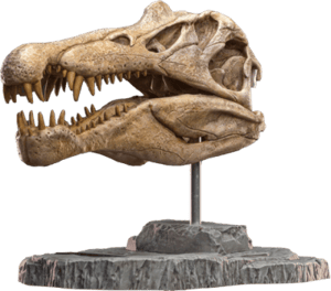 Spinosaurus Head Skull Scaled Replica