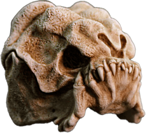 Rancor Skull Mini Sculpture Star Wars Statues Image
