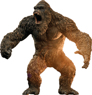 Kong Collectibles | Sideshow Collectibles