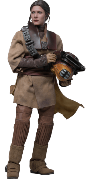 Leia Organa (Boushh Disguise)™ Star Wars Sixth Scale Figure Image