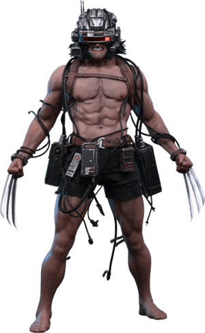 Wolverine Collectibles | Sideshow Collectibles
