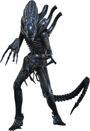 Alien Warrior Alien Sixth Scale Figure Image