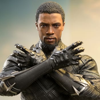 Hot Toys Black Panther (Original Suit) Collectible