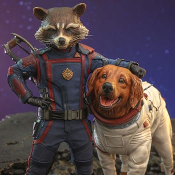 Hot Toys Rocket and Cosmo Collectible