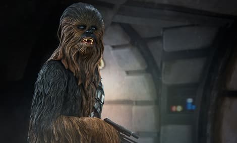 Gallery Feature Image of Chewbacca Premium Format™ Figure - Click to open image gallery