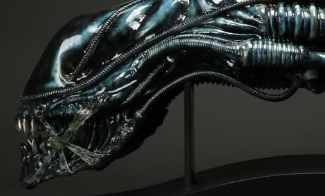 Gallery Feature Image of Alien Warrior Blue Edition Life-Size Head Prop Replica - Click to open image gallery