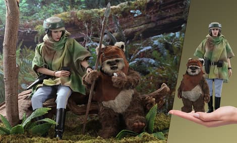 Gallery Feature Image of Princess Leia & Wicket Sixth Scale Figure Set - Click to open image gallery