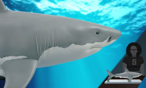 Gallery Feature Image of White Shark Figurine - Click to open image gallery