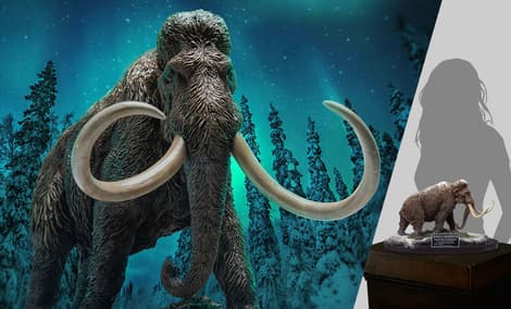 Gallery Feature Image of Woolly Mammoth Statue - Click to open image gallery