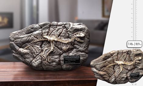 Gallery Feature Image of Fossil Replica - Click to open image gallery