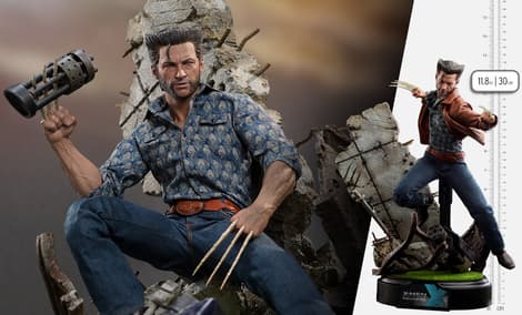 Gallery Feature Image of Wolverine (1973 Version) (Deluxe Version) (Special Edition) Sixth Scale Figure - Click to open image gallery