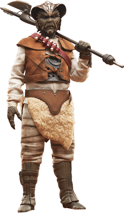 Wooof™ Star Wars Sixth Scale Figure Image